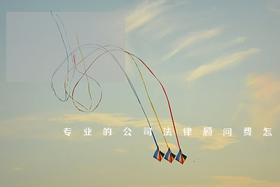 公司聘请专业法律顾问的费用计算与法律事务代理指南