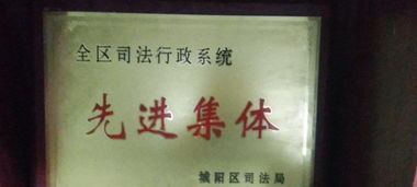 专业代理 为您的法律事务保驾护航