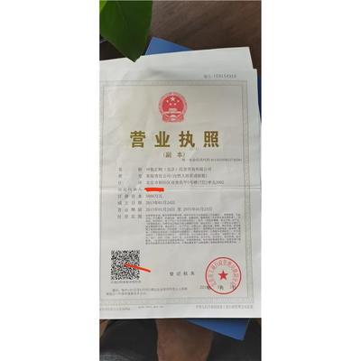 北京代办公司 专业高效的法律事务代理服务与简化流程